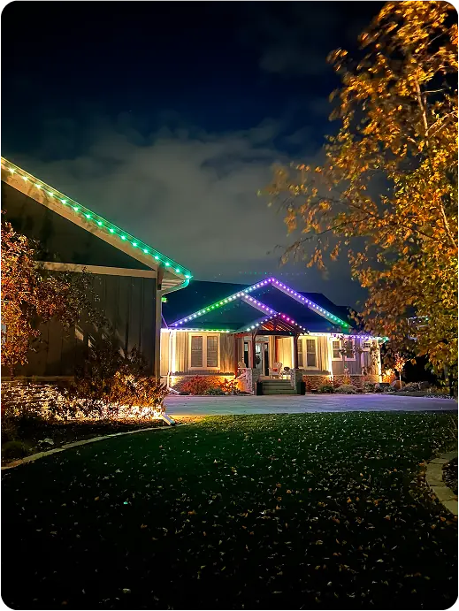 Nice & Bright More projects project photo