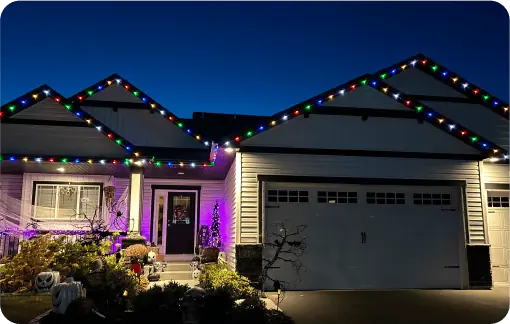 Nice & Bright More projects project photo