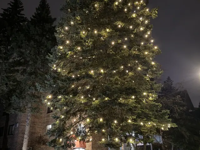 Nice & Bright project photo